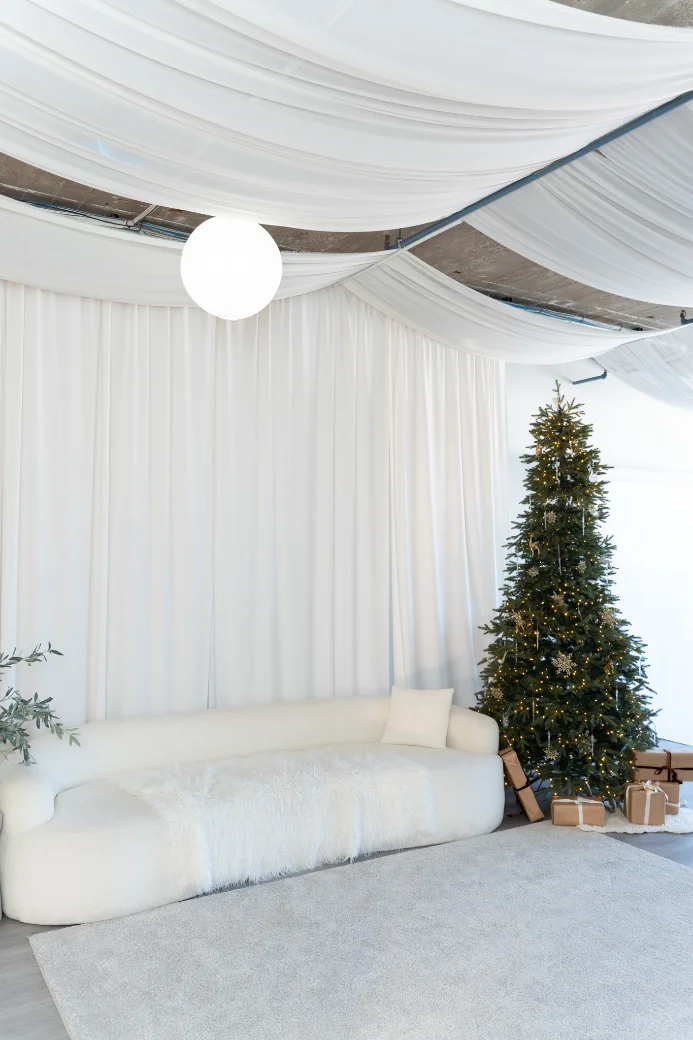 Soul Studio — Curved sofa & natural light